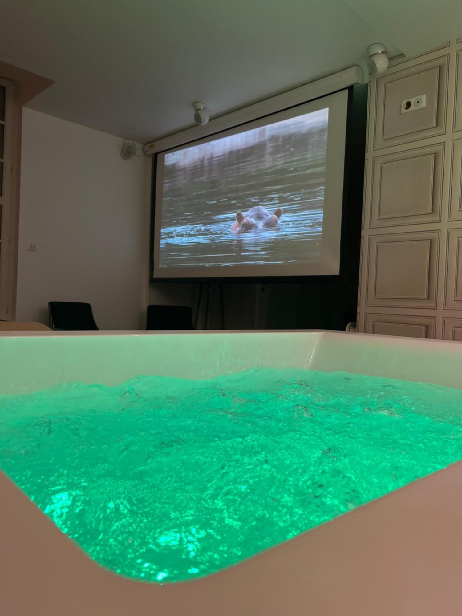 Appartement Avec Jacuzzi Sauna & Home Cinema - Nid D'Angers Bagian luar foto